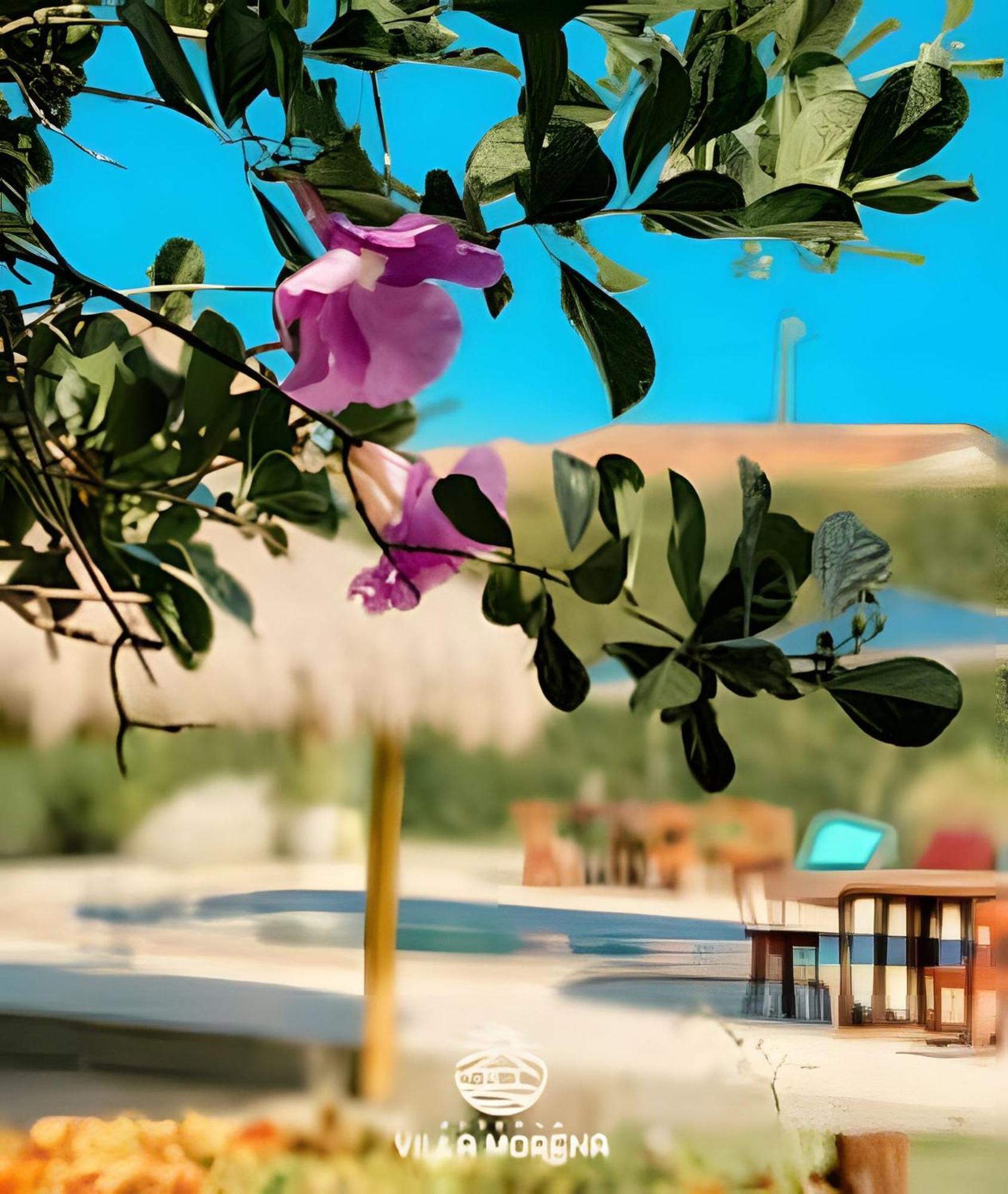 Pousada Villa Morena Pôrto de Pedras 外观 照片