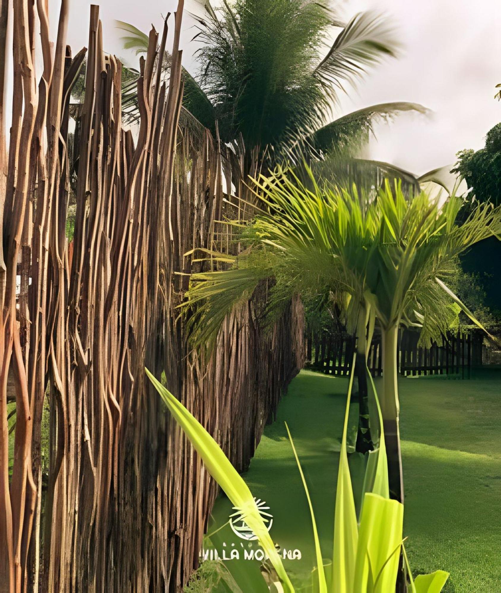 Pousada Villa Morena Pôrto de Pedras 外观 照片